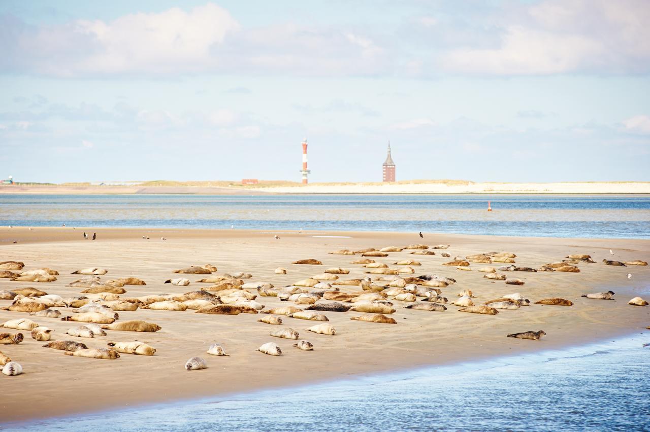 Jugendherberge Wangerooge Wangerooge Island Eksteriør billede